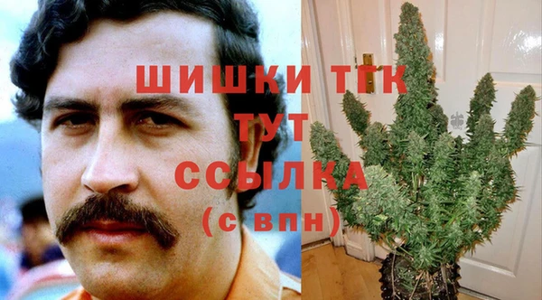 ПСИЛОЦИБИНОВЫЕ ГРИБЫ Богородицк